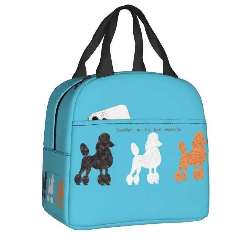France Standard Poodle Insulat - đánh giá và giá Women'S Best Bags For Work